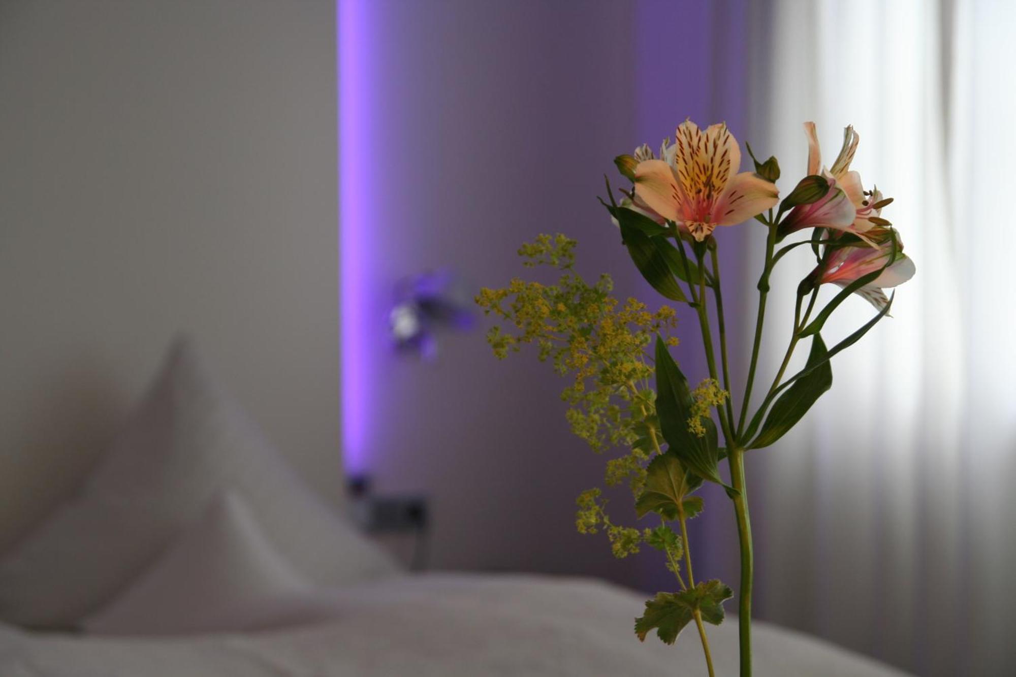 Hotel Am Main Veitshöchheim Szoba fotó